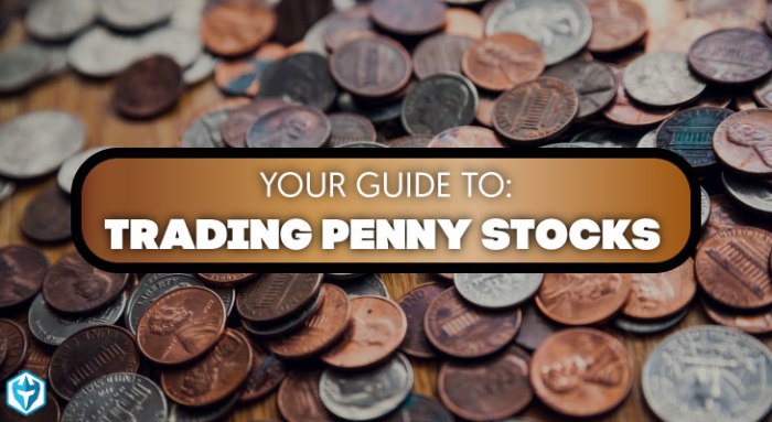 Penny stock trading stocks strategy momo 193k beginners