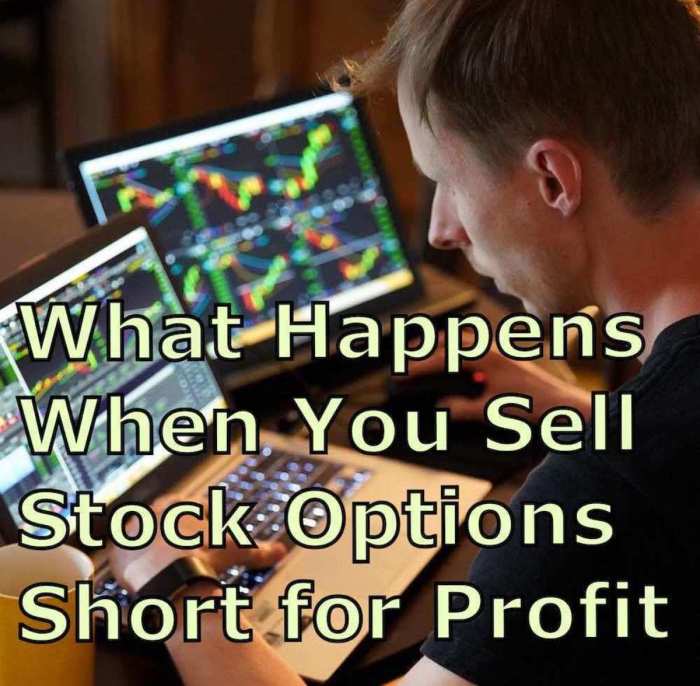 Options tradersfly basics contract